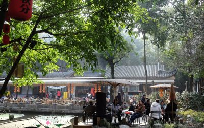 2026全球美食之旅:探索世界頂級美食目的地與旅行秘訣