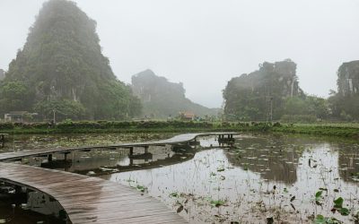 2026東南亞美食與秘境探索：打造難忘的味蕾與心靈之旅！